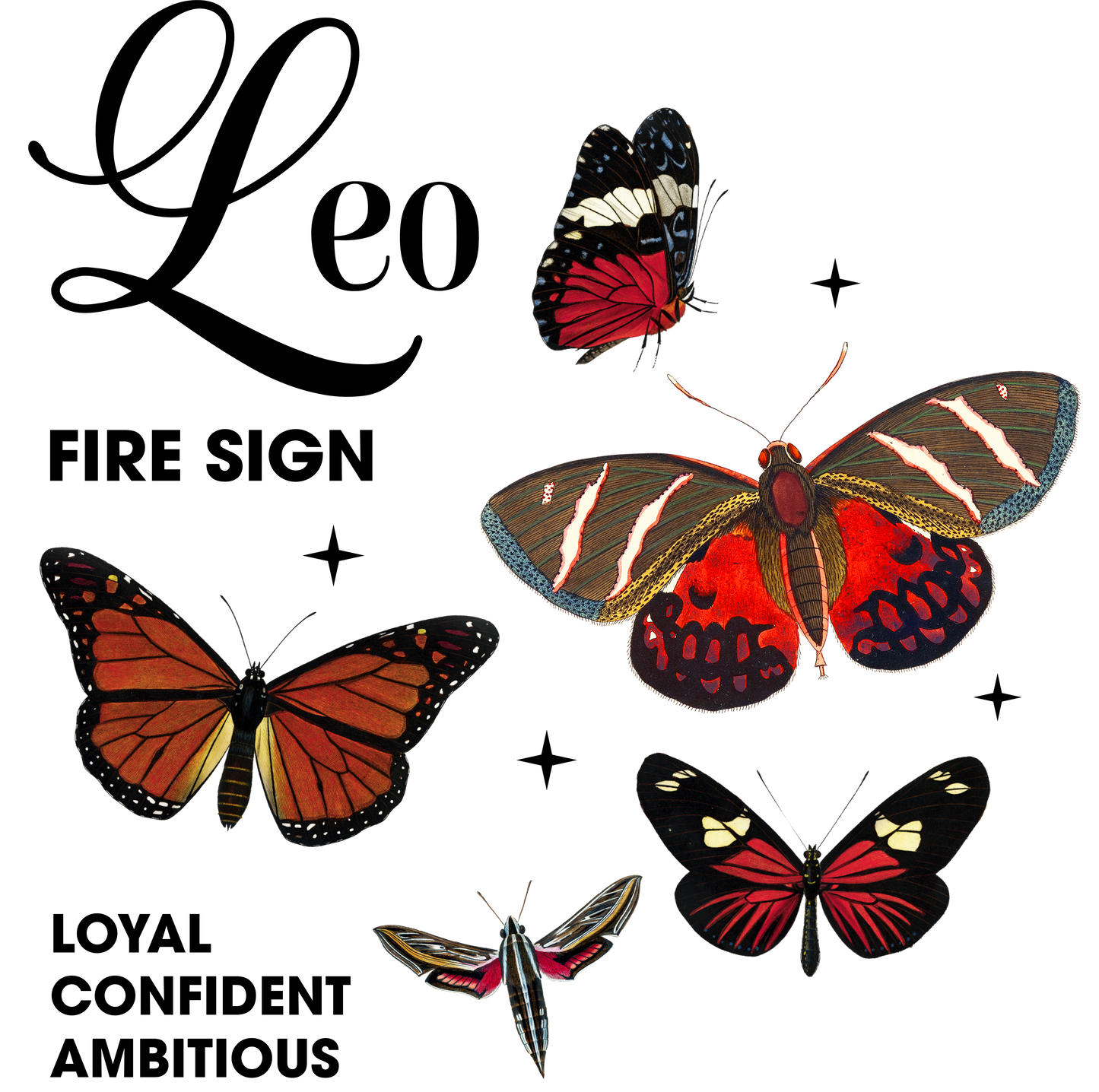 Ladies Zodiac Butterfly Boyshorts